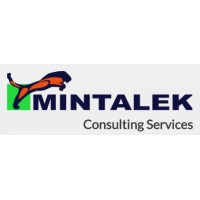 Mintalek Systems - Recruitment Agency Profile