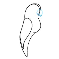 Parrot Resourcing - Recruitment Agency Profile