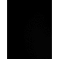 Virtual Solutions - Recruitment Agency Profile