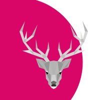 WP Management Solutions GmbH - Recruitment Agency Profile